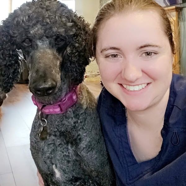 Animal Medical of Troy Careers 2