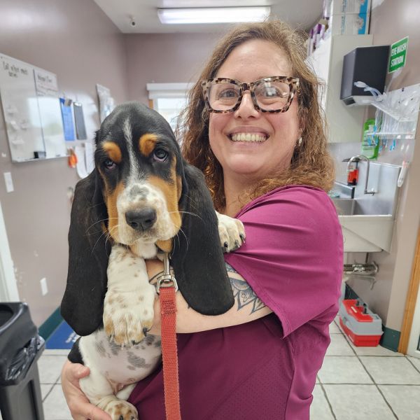 Animal Medical of Troy Careers